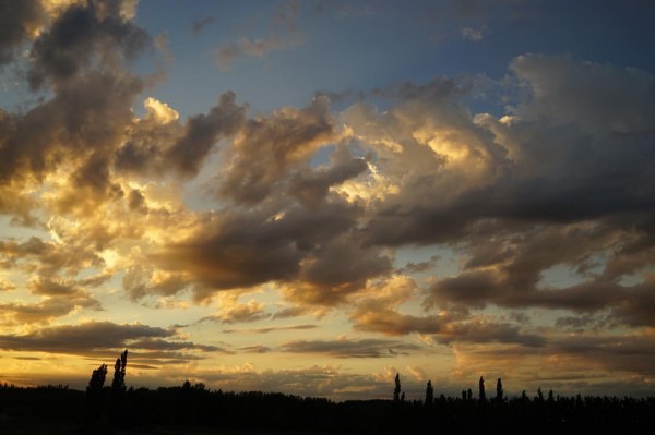 More beautiful earth, from the Patagonia wine regions of Argentina.