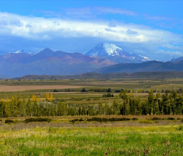 Valle de Uco’s northern wine sub-region is Tupungato