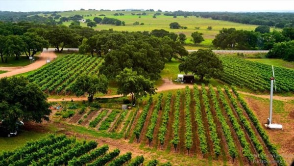 Texas winemakers fight over law regulating origin of wine